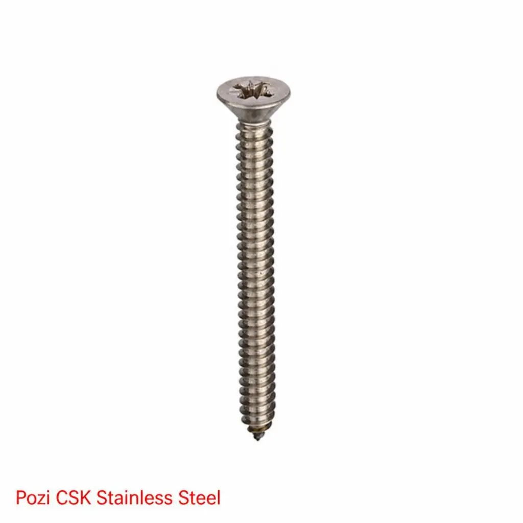 AI Generated Pozi CSK Stainless Steel label - red text bottom left (screw)