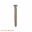 AI Generated Pozi CSK Stainless Steel label - red text bottom left (screw)