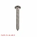 AI Generated Pozi Pan Stainless Steel label - red text bottom left (screw)